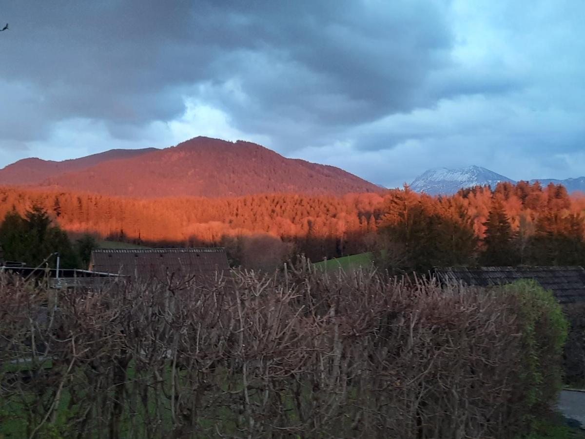 Haus Mit Bergblick Villa Siegsdorf Eksteriør bilde