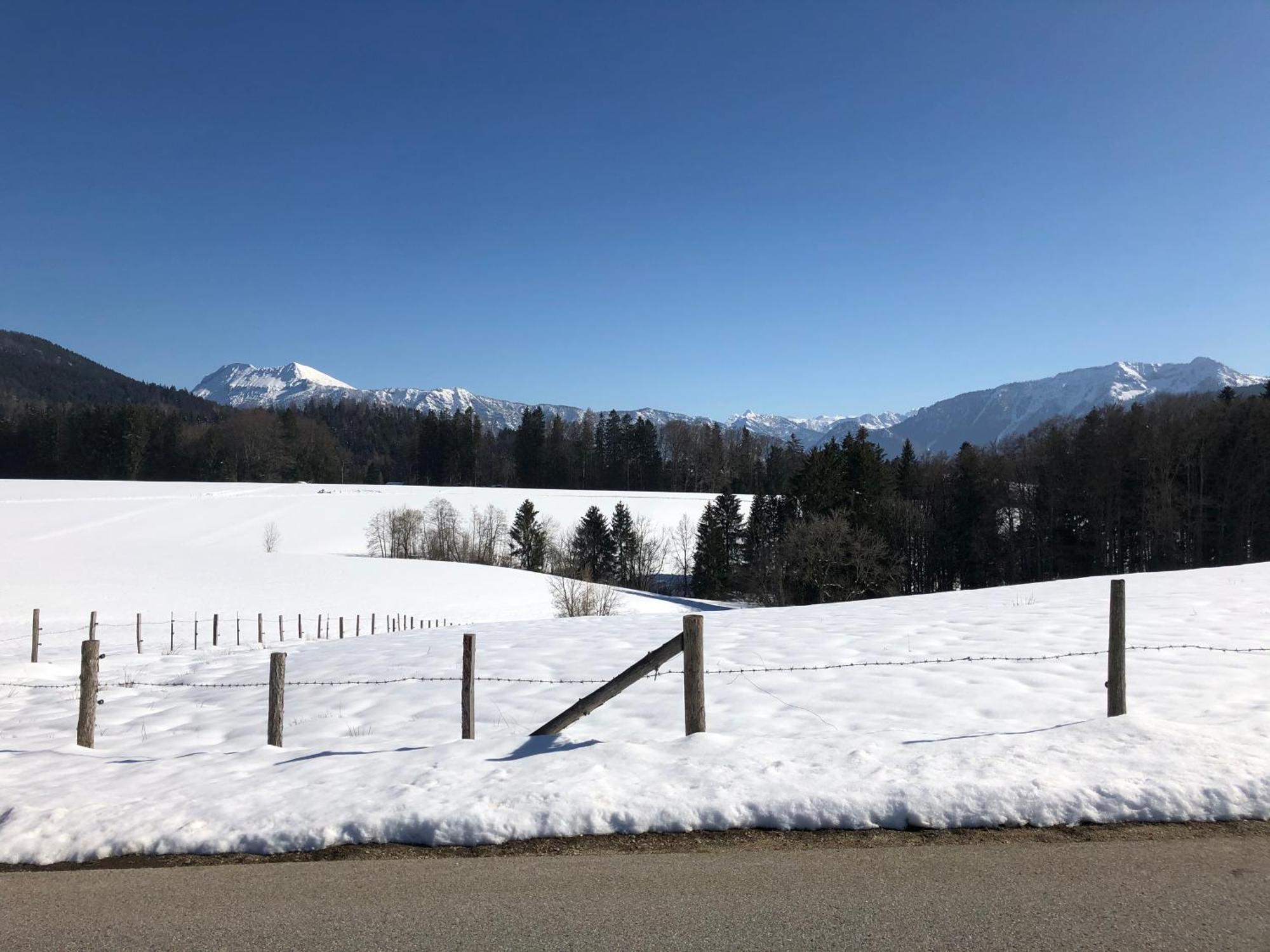 Haus Mit Bergblick Villa Siegsdorf Eksteriør bilde